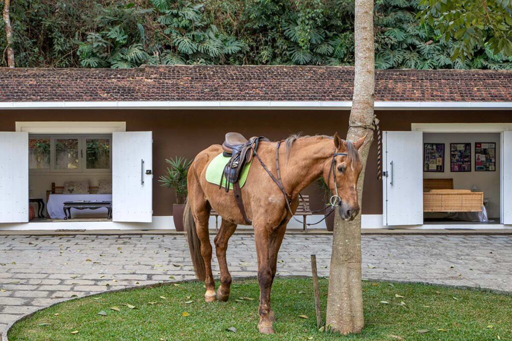 732a0776aba9a043a0e9786a2ab0d4f2